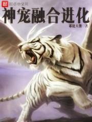 神宠进化怎么样