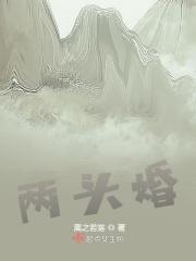 两头婚李沐全文免费阅读