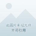 世界第一盗贼