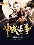 神武星辉怎么获得