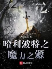 哈利波特之魔法之谜